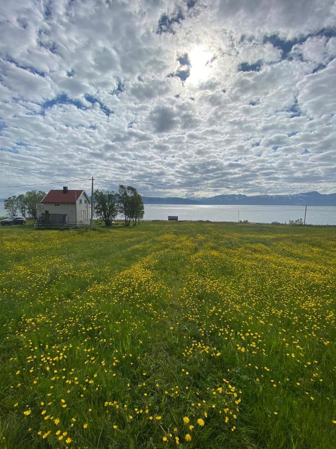 Unique And Charming Holiday Home With Fantastic Sea Views Tromso Luaran gambar