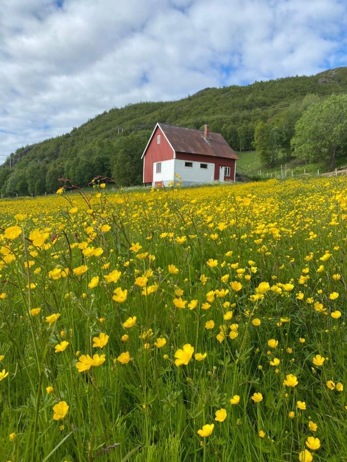 Unique And Charming Holiday Home With Fantastic Sea Views Tromso Luaran gambar