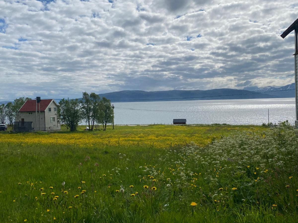 Unique And Charming Holiday Home With Fantastic Sea Views Tromso Luaran gambar