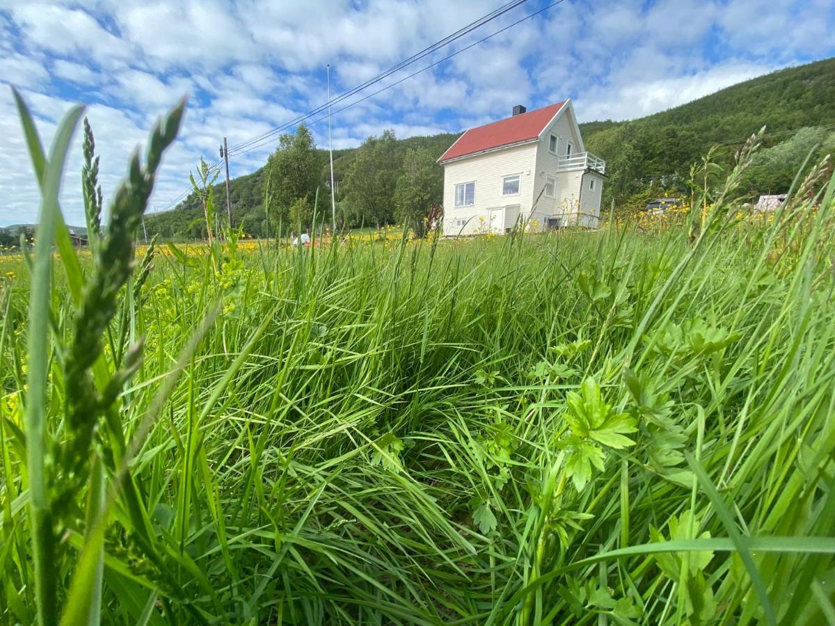 Unique And Charming Holiday Home With Fantastic Sea Views Tromso Luaran gambar