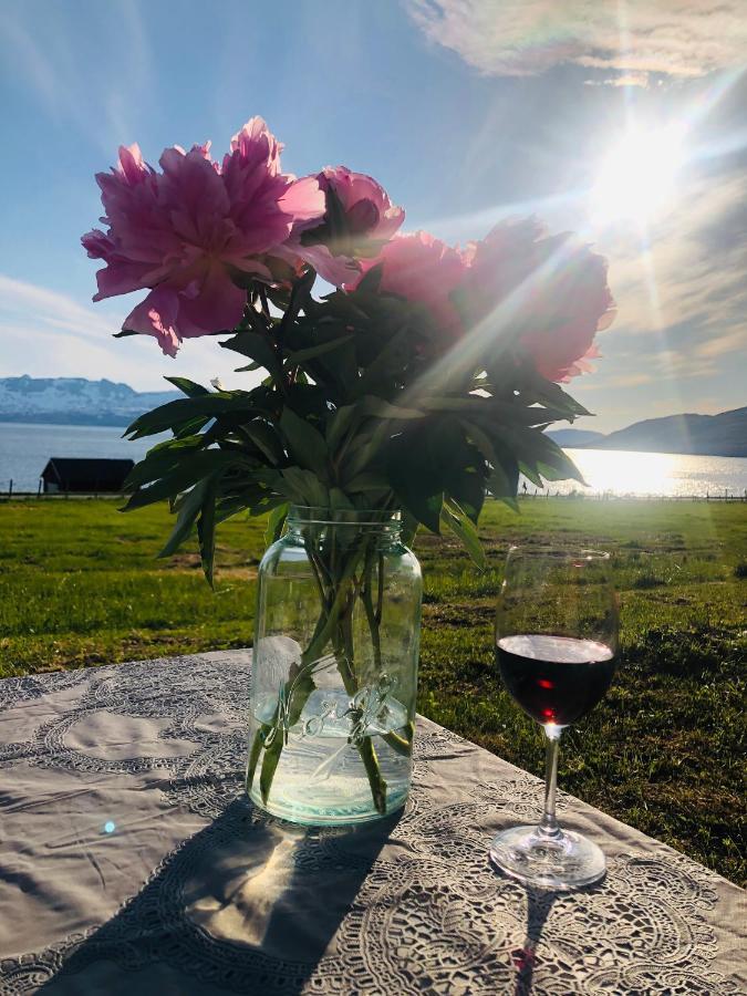 Unique And Charming Holiday Home With Fantastic Sea Views Tromso Luaran gambar