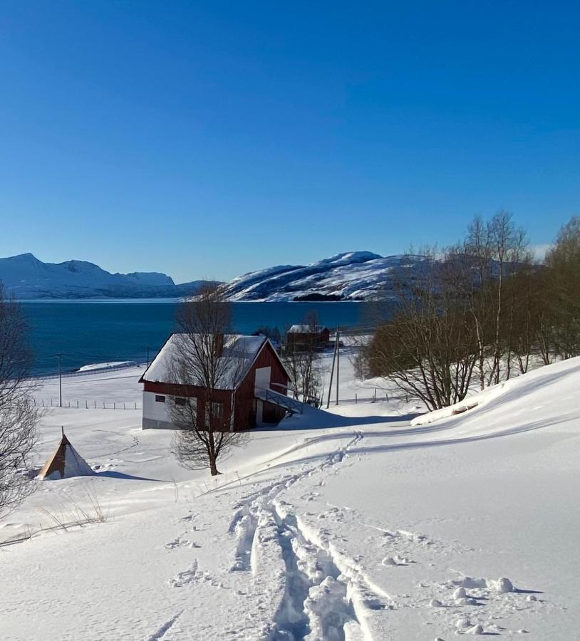 Unique And Charming Holiday Home With Fantastic Sea Views Tromso Luaran gambar